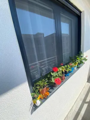 a window with potted plants on a window sill at Crown Apartment in Ulcinj