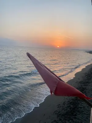 a bird flying over the beach with the sunset at Crown Apartment in Ulcinj