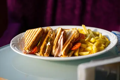 a sandwich and fries on a plate on a table at Motel Celebic in Podgorica