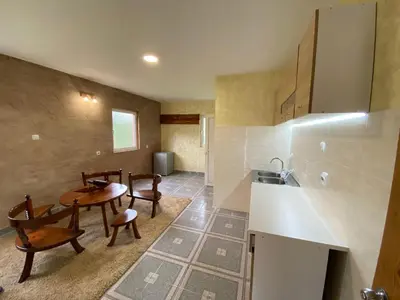 a kitchen with a table and chairs and a sink at Apartman Sedmica in Danilovgrad