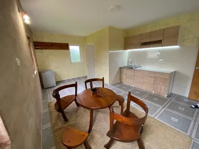 a kitchen with a wooden table and four chairs at Apartman Sedmica in Danilovgrad