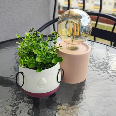 a light and a potted plant on a table at Apartmani Stari Aerodrom in Podgorica