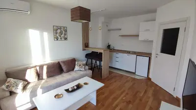 a living room with a couch and a table at Apartmani Stari Aerodrom in Podgorica
