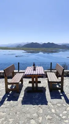 a picnic table with a cat sitting on it next to a lake at Bobija Village Skadar lake in Karuč