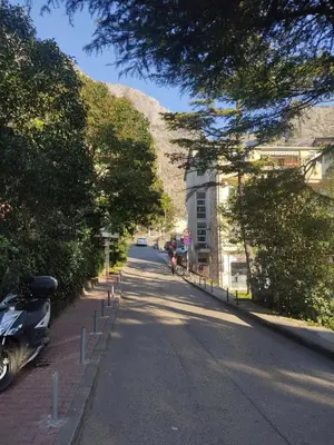 a tree lined street with a mountain in the background at Apartment OAZA in Kotor