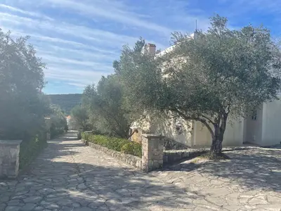 a stone road with a tree and a building at Villa Thetis in Bigovo