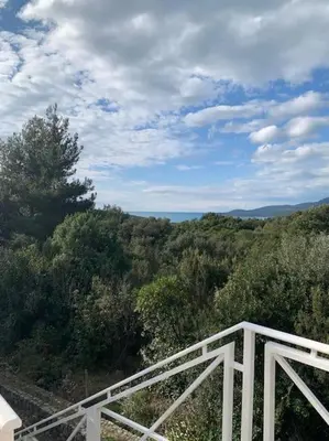 a white bridge in the middle of a forest at Villa Thetis in Bigovo