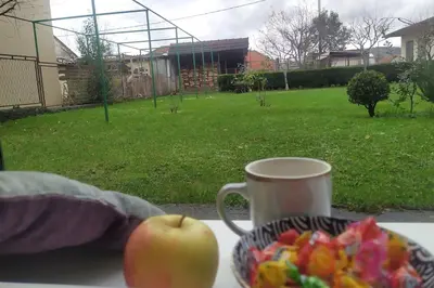 an apple sitting on a table with a plate of fruit at Daydream Apartment in Podgorica in Podgorica
