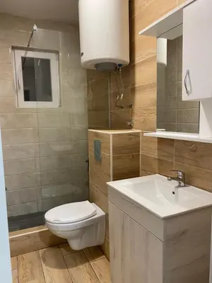 a bathroom with a white toilet and a sink at Vucinic Studio Apartment in Cetinje