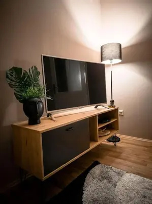a television on a wooden stand with a potted plant at Olive's apartment in Podgorica