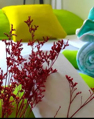 a table with a book with red flowers on it at Montenegrina apartment in Ulcinj