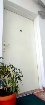 a plant in a pot in front of a door at Montenegrina apartment in Ulcinj