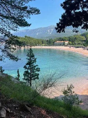 a beach with a tree in the middle of the water at Apartman Petra in Pržno