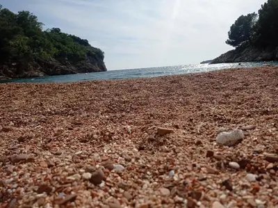 a beach covered in rocks and the ocean at Apartman Petra in Pržno