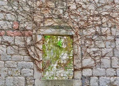 a window in a brick wall with vines at Apartment Amigo 2 Old Town Kotor in Kotor