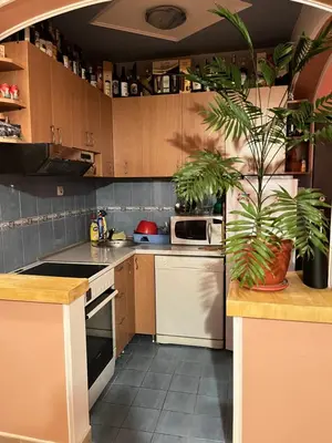 a kitchen with white appliances and a palm tree in it at PA Max apartment in Kotor