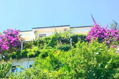 a building with pink flowers and trees in front of it at Madra Rooms and Apartments in Budva
