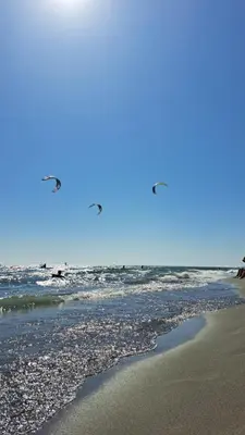 two birds flying over the ocean on a beach at Long beach luxury Premium apartments in Ulcinj