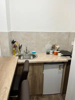 a kitchen counter with a sink and a dishwasher at Apartment Verde in Bar