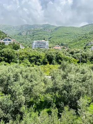 a group of trees with mountains in the background at Cozy studio Bečići in Becici