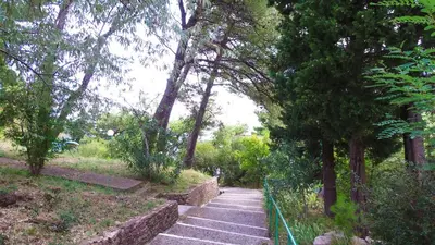 a path in a park with trees and a fence at Golden bay in Bar