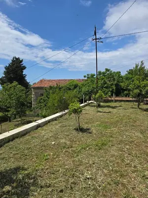 a yard with two trees and a house at Rustic House Montenegro in Bar