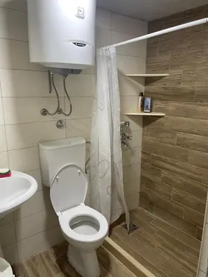 a bathroom with a toilet and a sink at Rustic House Montenegro in Bar