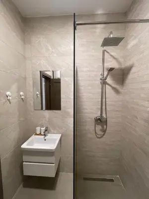a bathroom with a shower and a sink and a toilet at Apartman Budva 07 in Budva