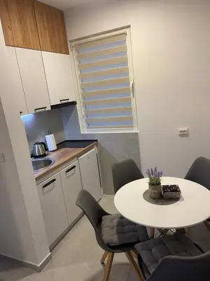 a small kitchen with a table and chairs and a sink at Apartman Budva 07 in Budva