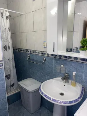 a bathroom with a sink and a toilet and a mirror at Skadar Lake Apartment -Anja in Vranjina