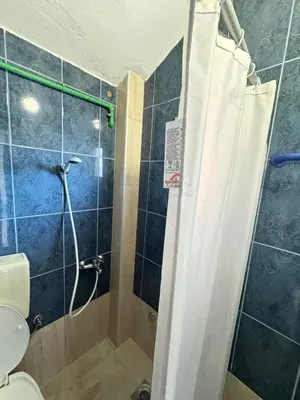 a bathroom with a shower with a toilet at Apartments Zeneva in Donji Štoj