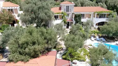 an aerial view of a house with a pool and trees at Olive trees in Budva