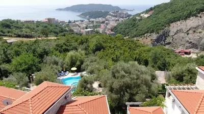 arial view of a resort with a swimming pool and trees at Olive trees in Budva