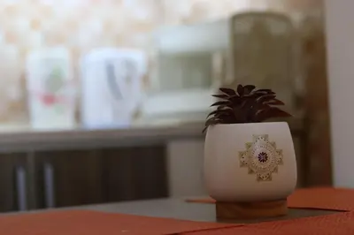 a potted plant sitting on top of a table at Dineta Apartment in Ulcinj