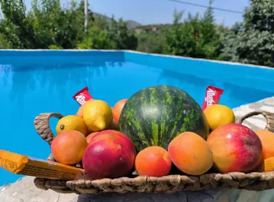 a basket of fruit in front of a pool at Green House Pejovic in Podgorica