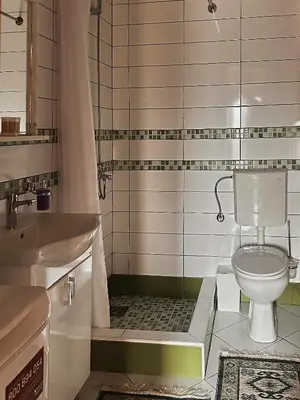 a bathroom with a toilet and a sink at Apartments 