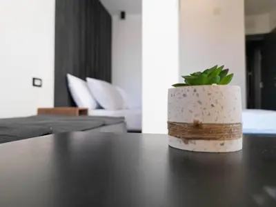 a plant in a pot sitting on top of a table at Sand Apartments in Ulcinj