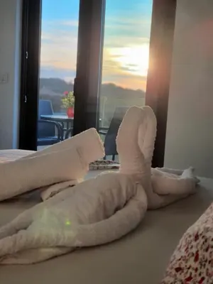 a towel animal sitting on a bed in a room with a window at Apartments Alsa in Ulcinj