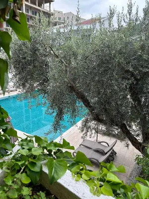 a tree sitting next to a swimming pool at Vile Oliva Hotel & Resort in Petrovac na Moru
