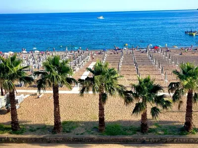 a beach with palm trees and people on the beach at Luxury apartment Casa Al Mare in Rafailovici
