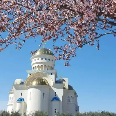 a white building with a gold dome and a tree at Meri in Bar