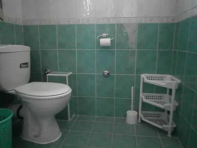 a bathroom with a toilet and a green tiled wall at Mijovic Apartments in Budva