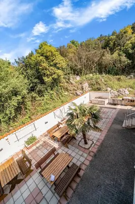 a patio with wooden benches and a palm tree at Villa Katharina in Utjeha