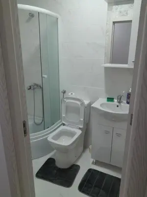 a bathroom with a toilet and a shower and a sink at Apartment Long beach in Ulcinj