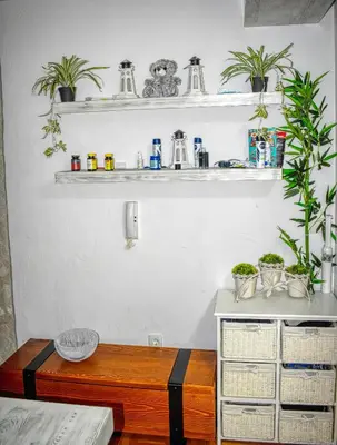 a room with shelves on the wall with plants at Sea view Studio Terminal in Budva