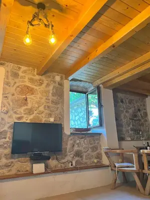 a living room with a tv on a stone wall at Lake Point Dodoši in Cetinje