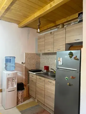a kitchen with a refrigerator and a sink at Lake Point Dodoši in Cetinje
