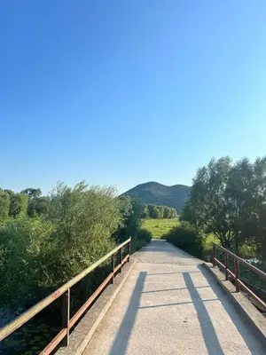a bridge over a road with trees and mountains at Lake Point Dodoši in Cetinje