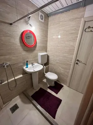 a bathroom with a toilet and a sink and a shower at Lake Point Dodoši in Cetinje