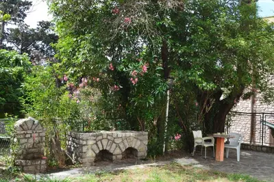 a garden with a tree and a table and chairs at Apartman Nadja - Sutomore in Sutomore